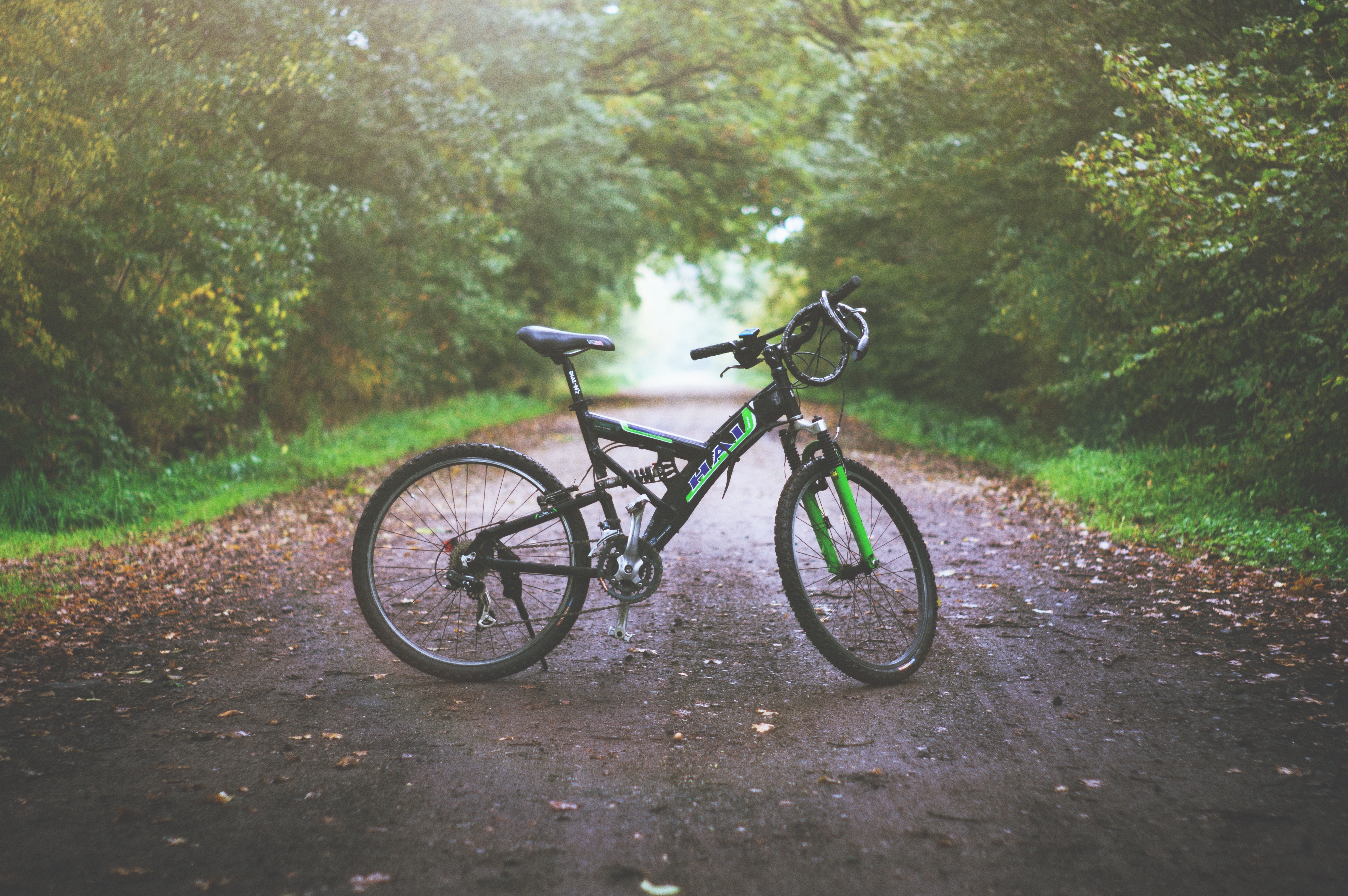 Mountain bike on a trail