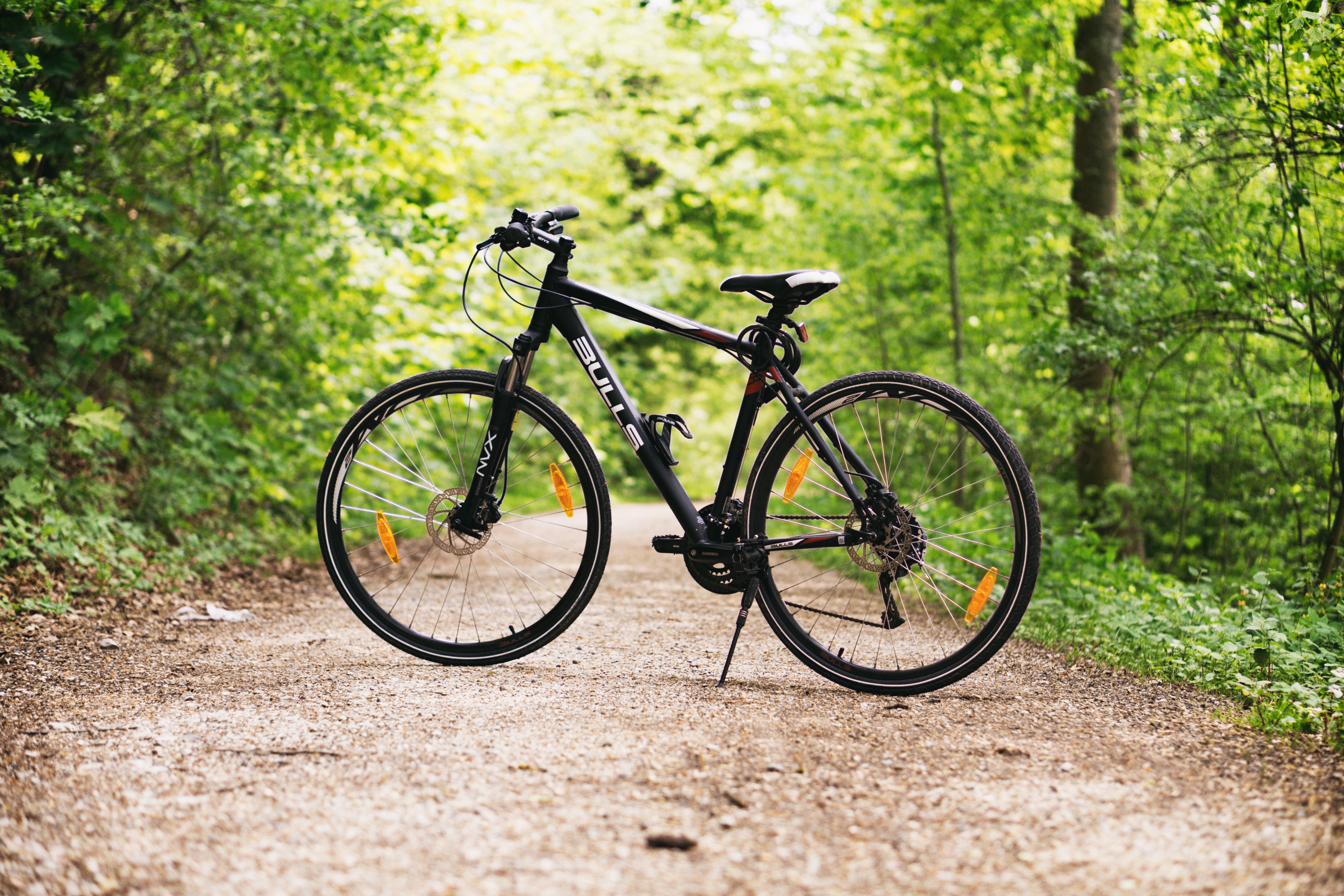 Road Bike on the trail